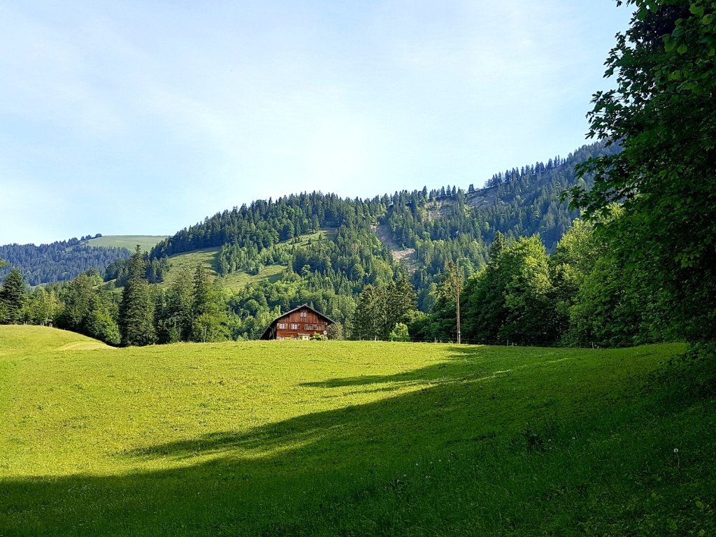 Ausblick auf dem "Goßarweag"