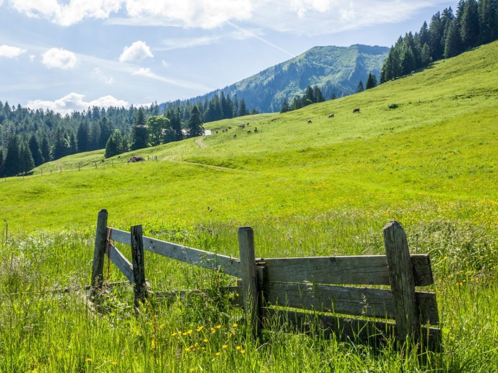 Alpgebiet Brongen, Egg-Schetteregg