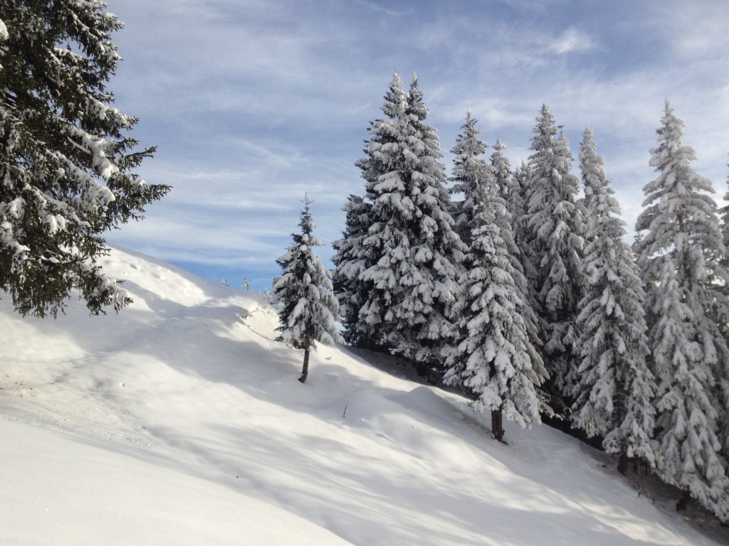 Winterlandschaft Sonderdach