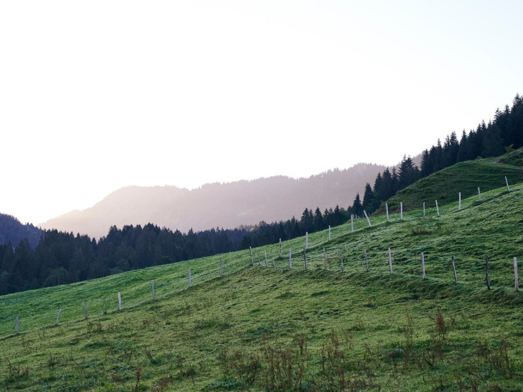 Das Lecknertal