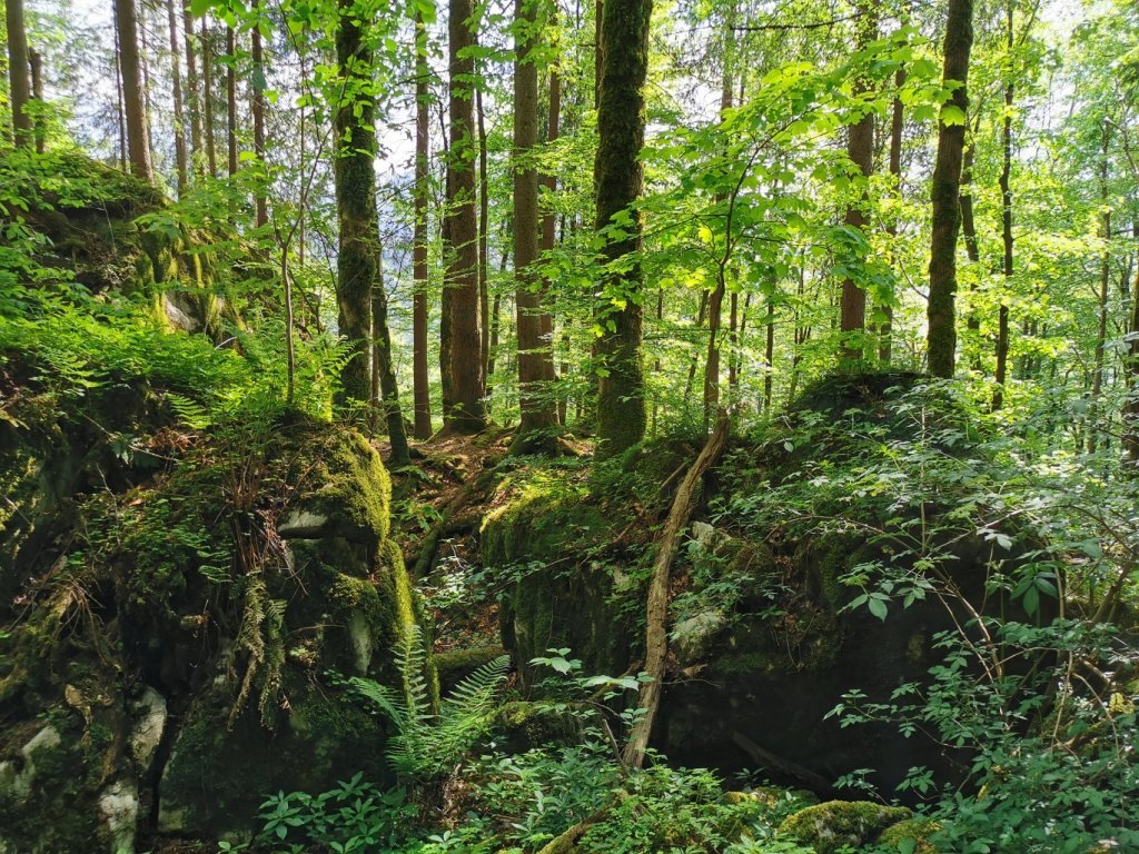 Höhlenpark Klausenstein in Bezau