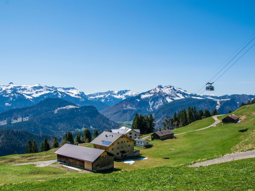 Sonderdach im Frühling