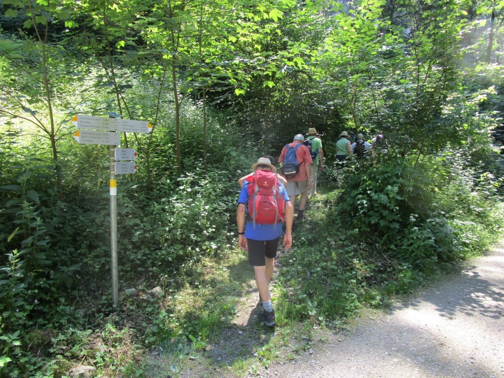 Start des Aufstiegs zur Urill über den Fallenkobelweg