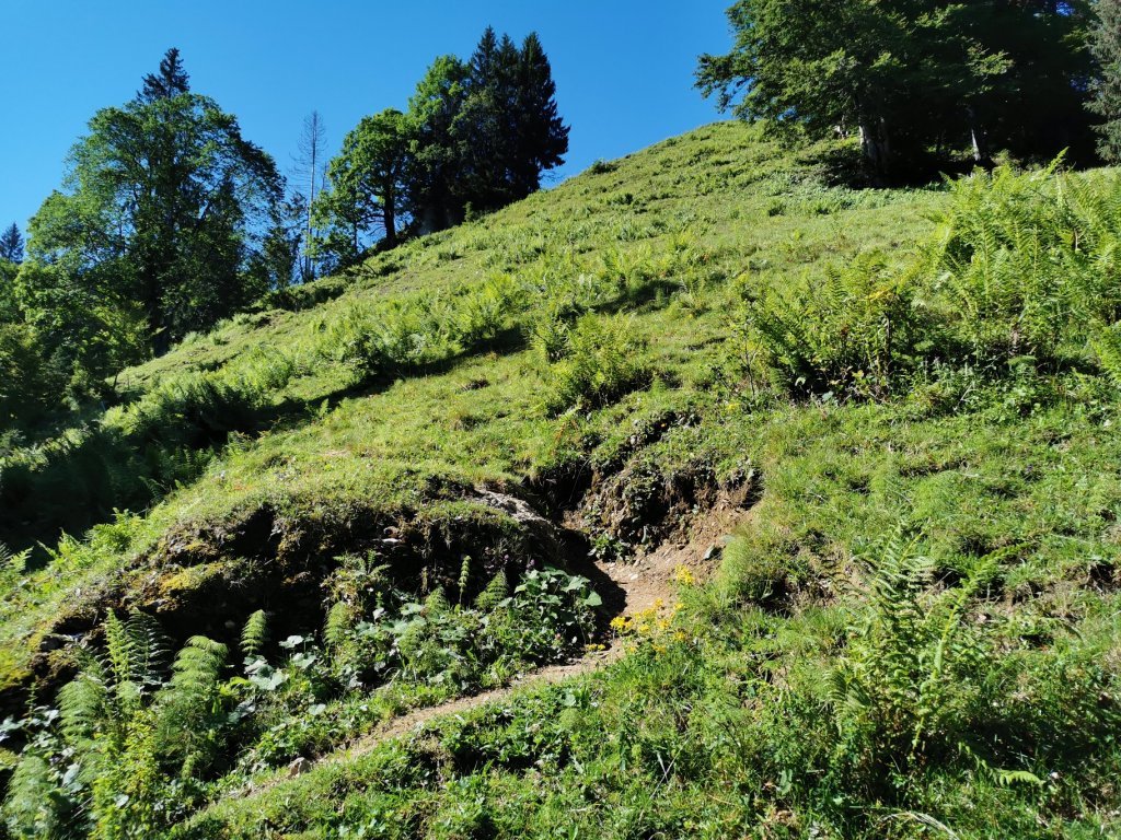 Weg auf den Hittisberg