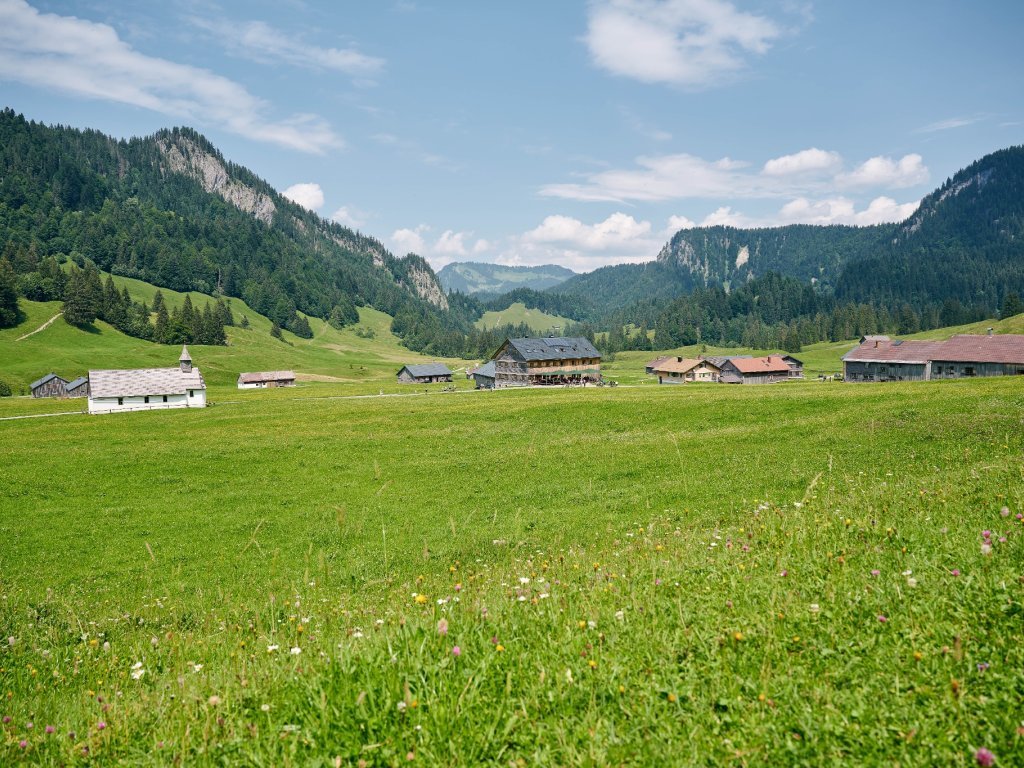 Schönenbach im Sommer