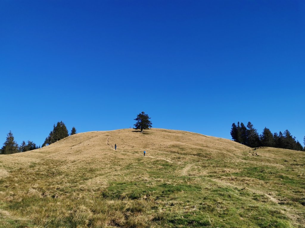 Wanderung auf das Renkknie in Sibratsgfäll