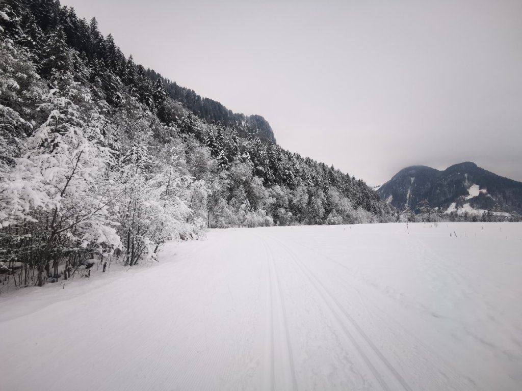 Langlaufloipe im Bizauer Moos