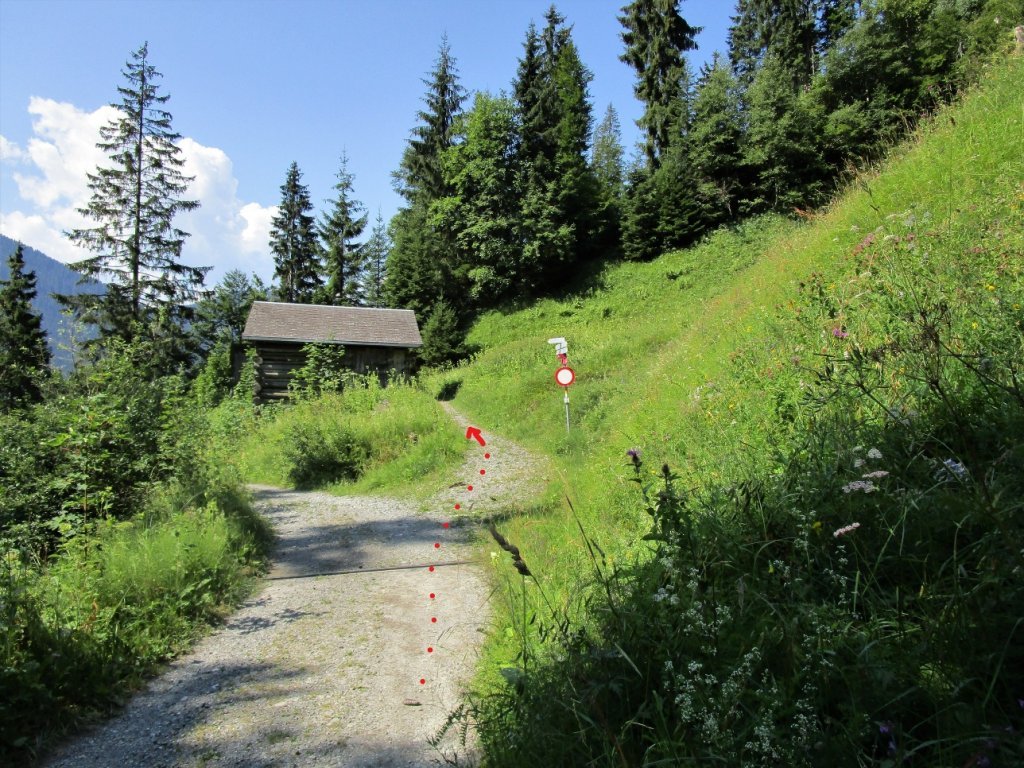 Bei dieser Abzweigung den oberen Weg ohne Höhenverlust wählen.