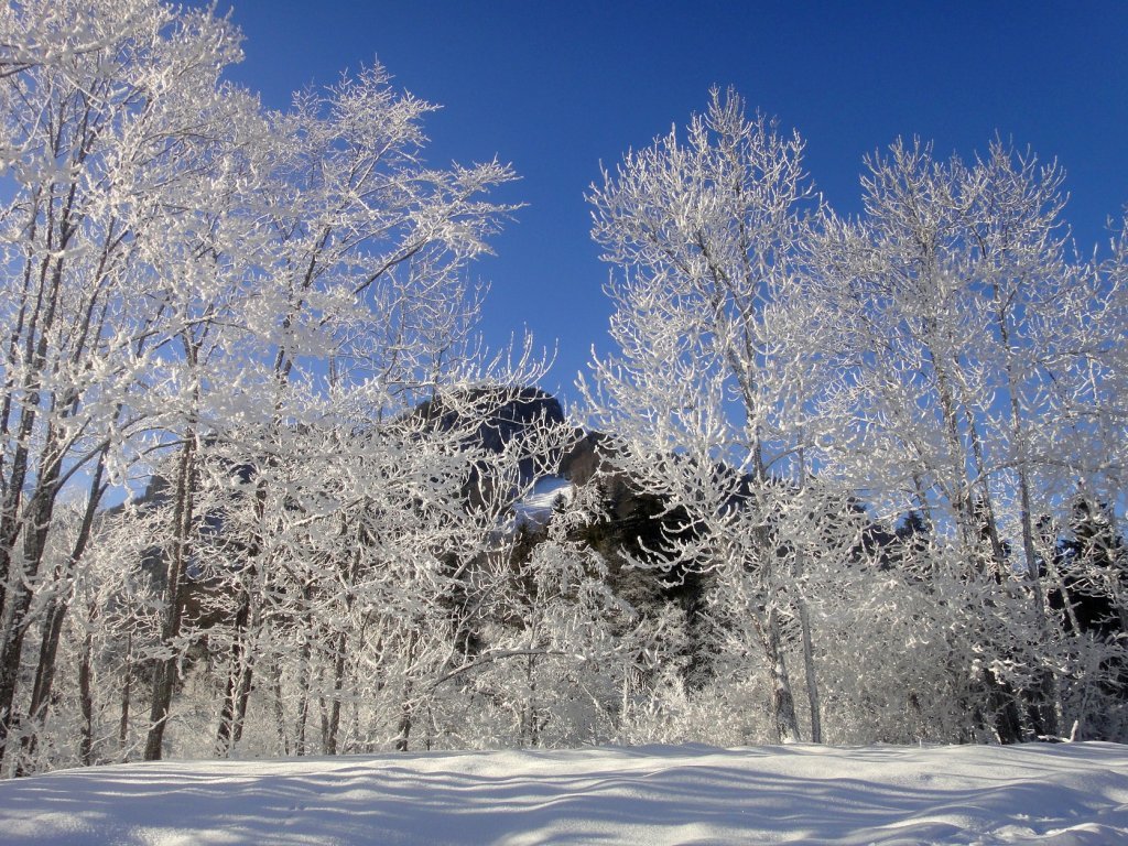 Winterlandschaft in Reuthe