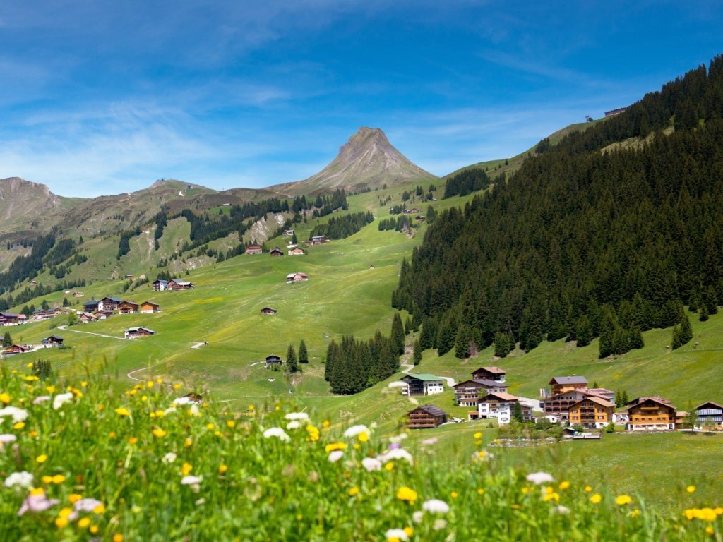 Blumenwiese im Bregenzerwald