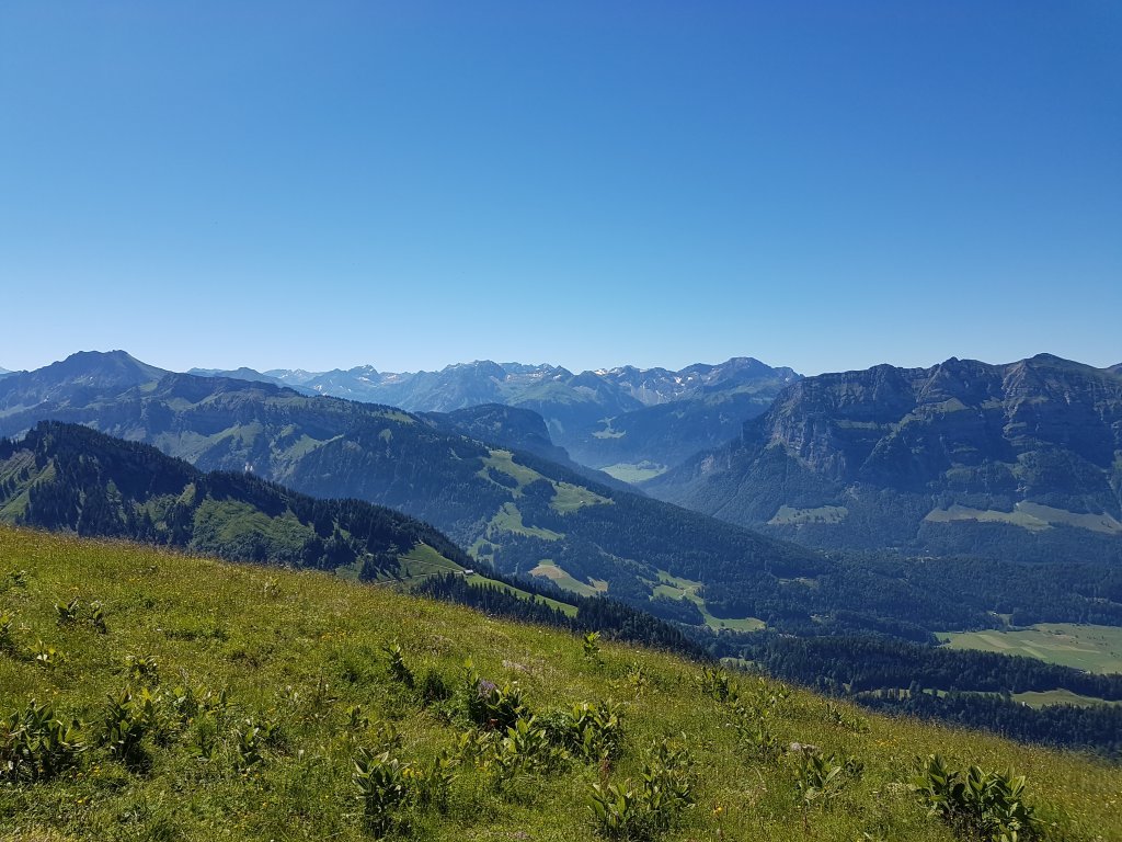 Panoramablick auf Baumgarten