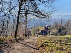 Weg vom Romberg zur Kapelle "Maria vom Siege