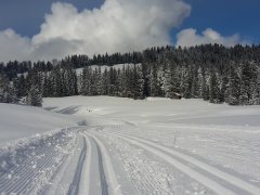 Hochmoor Loipe Hochhäderich