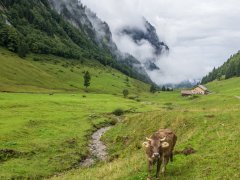 Blick zurück zur Weißenbachalpe