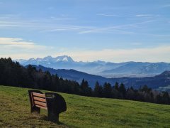 Abstieg Richtung Schönenbühl