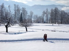 Winterwanderweg in Großdorf