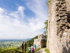 Blick über Nördliches Rheintal