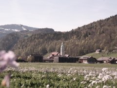 Blick auf das Dorfzentrum Bezau