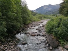 Der Weg im Mellental entlang des Mellenbaches