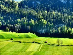 Wanderweg entlang am Grebenbach