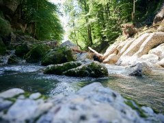 Die Engenlochschlucht in Hittisau