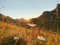 Sonnenaufgang Biberacher Hütte