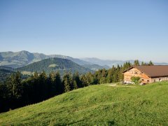 Alpe Schwarzenberger Platte im Lecknertal