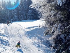 Rodelbahn Krähenberg Sibratsgfäll